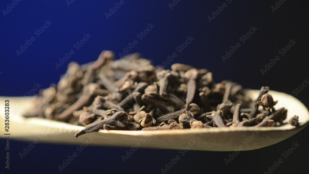 Syzygium aromaticum Klinčić लौंग Nageljnove žbice Syzygium aromaticum Klinčić लौंग Nageljnove žbice