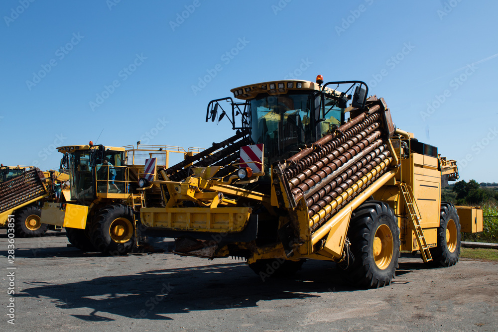 Beet harvesting shade - check for readiness for beet harvesting Beet harvesting shade - check for readiness for beet harvesting