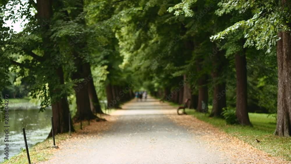 Kromeriz, Czech Republic - July 2019: View through long parkway lined by old trees with defocused people walking in distance. Chateau Garden. Shallow depth of field. 4K resolution. Kromeriz, Czech Republic - July 2019: View through long parkway lined by old trees with defocused people walking in distance. Chateau Garden. Shallow depth of field. 4K resolution.