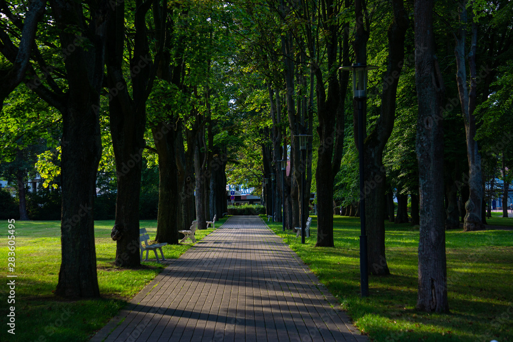 Schöne Park-Allee mit Bäumen und weißen Bänken Schöne Park-Allee mit Bäumen und weißen Bänken
