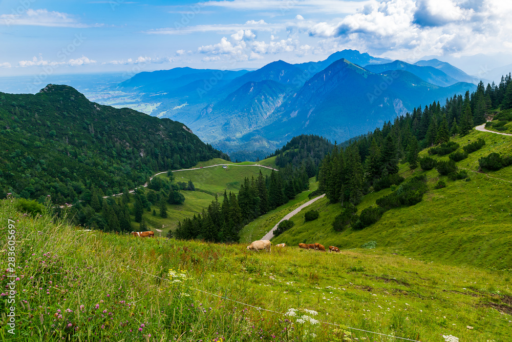 Was für ein Ausblick auf die Bayerischen Alpen vom Herzogstand aus 