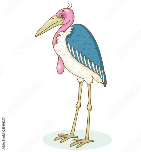 Marabou bird.  In cartoon style. Isolated on white background.