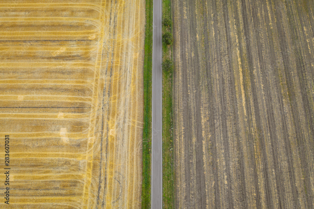 Aerial view of cereal fields after the harvest. There is road and tractor tread