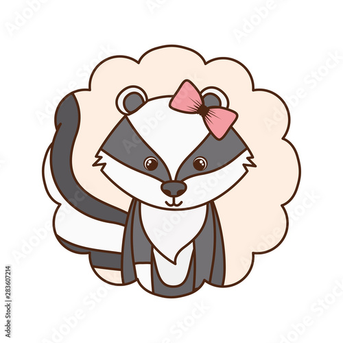 cute and adorable skunk with frame