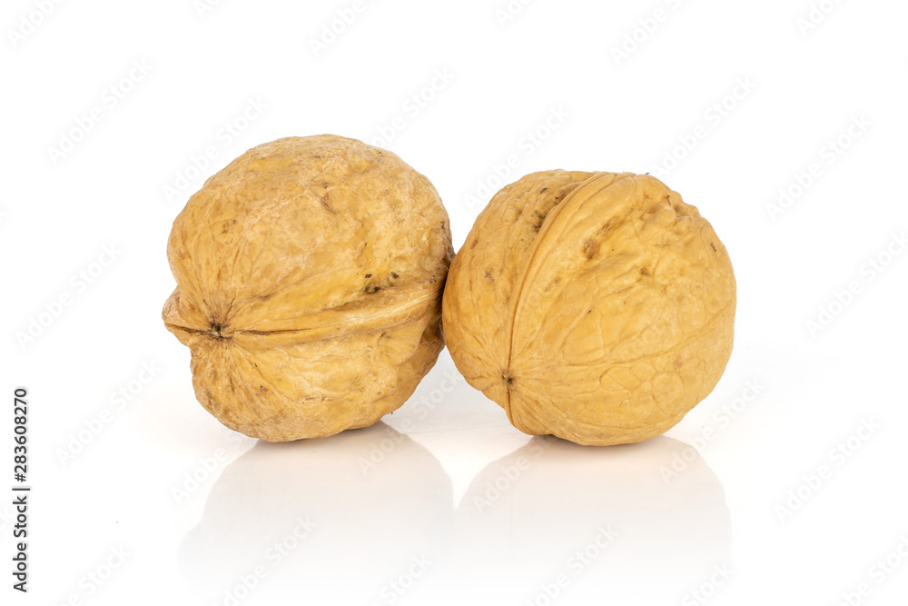 Group of two whole ripe brown walnut isolated on white background Group of two whole ripe brown walnut isolated on white background