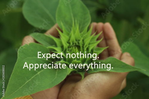 Inspirational words - Expect nothing. Appreciate anything. With kid hand open hold baby young sunflower in hand in the garden. Young plant in hand. Life appreciation concept. photo