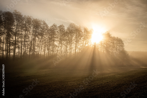 Gorgeous warm sunrise beaming its rays through fog and trees. Mystic and peaceful scene.