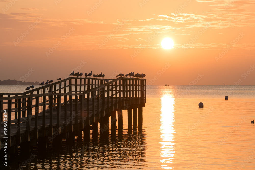idyllic sea bridge with seagulls at sunrise, seascape wallpaper, background
