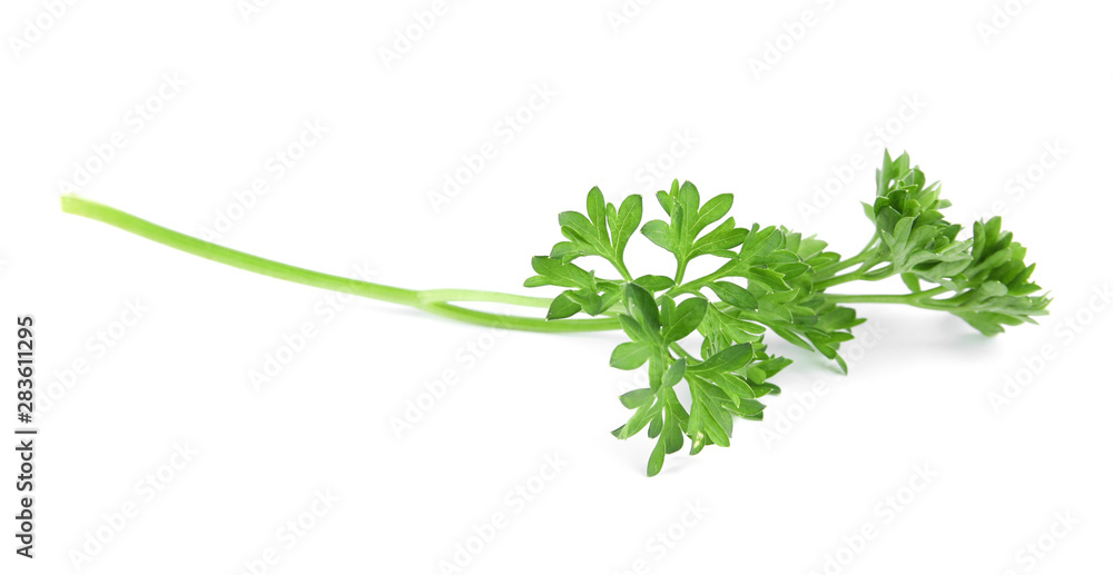 Fresh green organic parsley on white background Fresh green organic parsley on white background