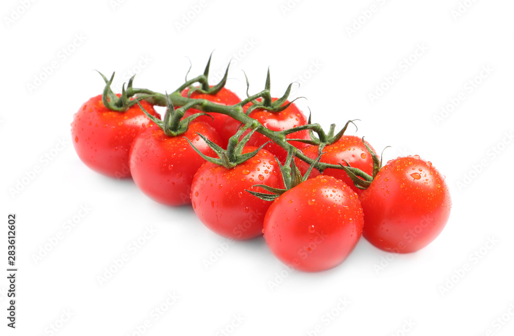 Branch of fresh cherry tomatoes isolated on white Branch of fresh cherry tomatoes isolated on white