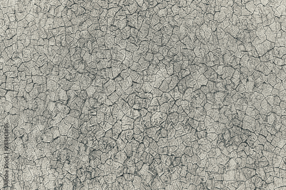 Grey rustic texture background with craquelure. Grey rustic texture background with craquelure.