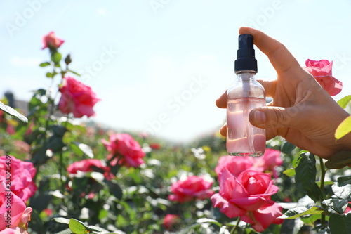 Woman holding bottle of facial toner with essential oil near rose bush in garden  closeup. Space for text