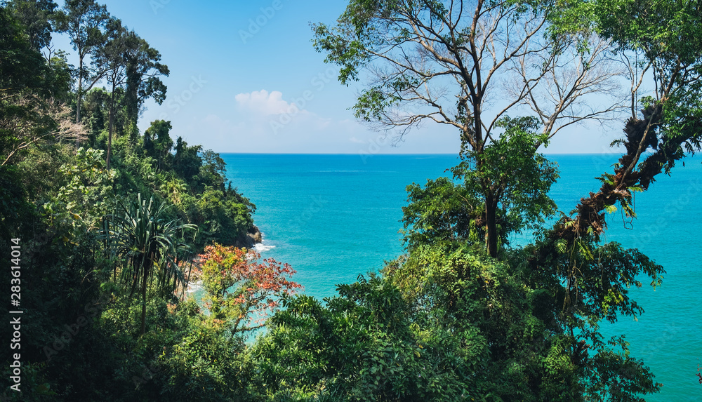 Picturesque top view to the tropical trees on the rocky beach and blue sea, Khao Lak-Lam Ru National Park, Phang-nga, Thailand.