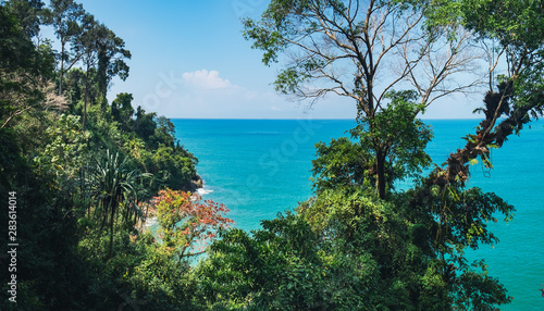 Fototapeta Naklejka Na Ścianę i Meble -  Picturesque top view to the tropical trees on the rocky beach and blue sea, Khao Lak-Lam Ru National Park, Phang-nga, Thailand.