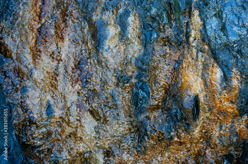 texture of bark of tree