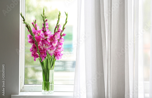 Fototapete Vase with beautiful pink gladiolus flowers on windowsill, space for text