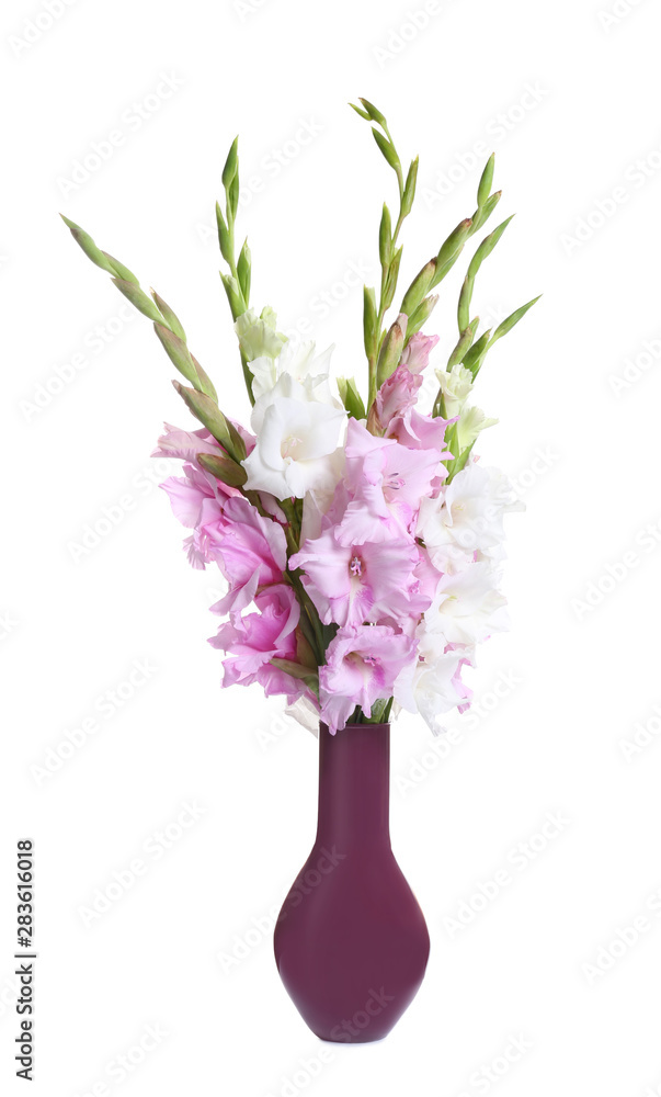 Vase with beautiful gladiolus flowers on white background Vase with beautiful gladiolus flowers on white background