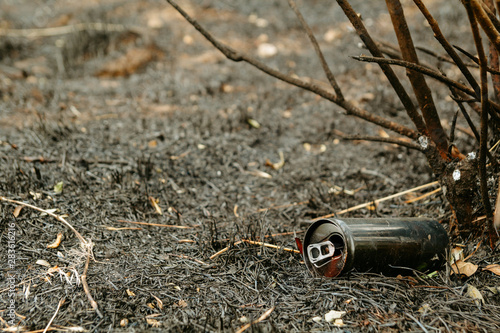 A metal can lies on the grass. Forest and nature pollution concept