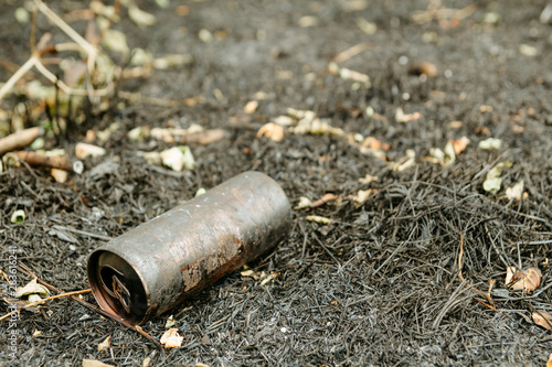 A metal can lies on the grass. Forest and nature pollution concept