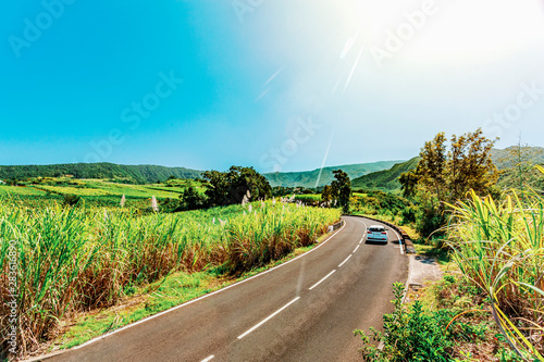 Fields of sugar cane in bloom in the southern highlands of Reunion Island crossed by a departmental road