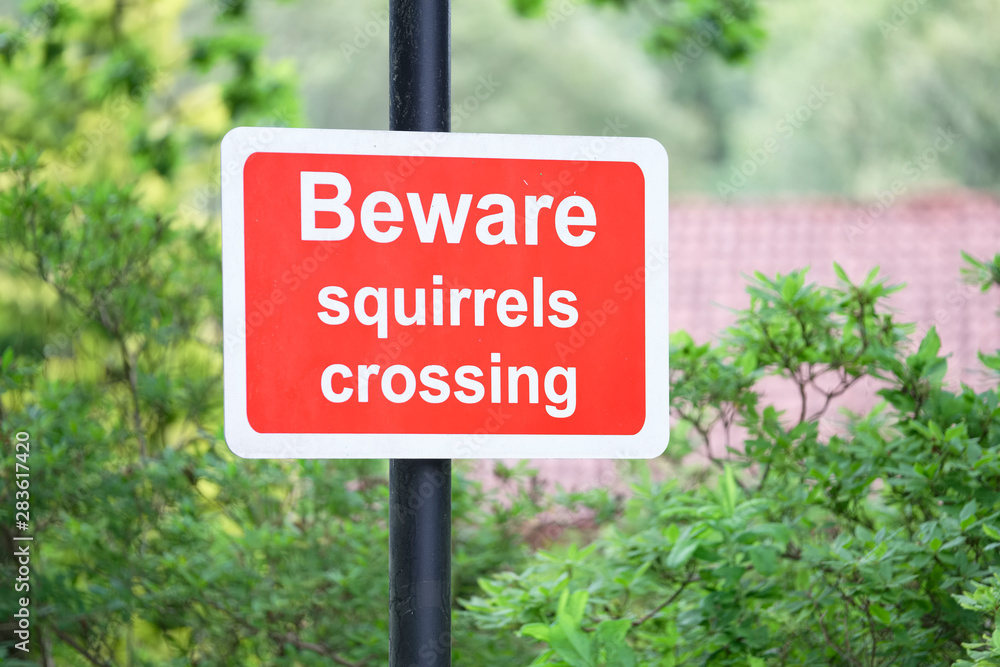 Squirrels beware crossing road sign