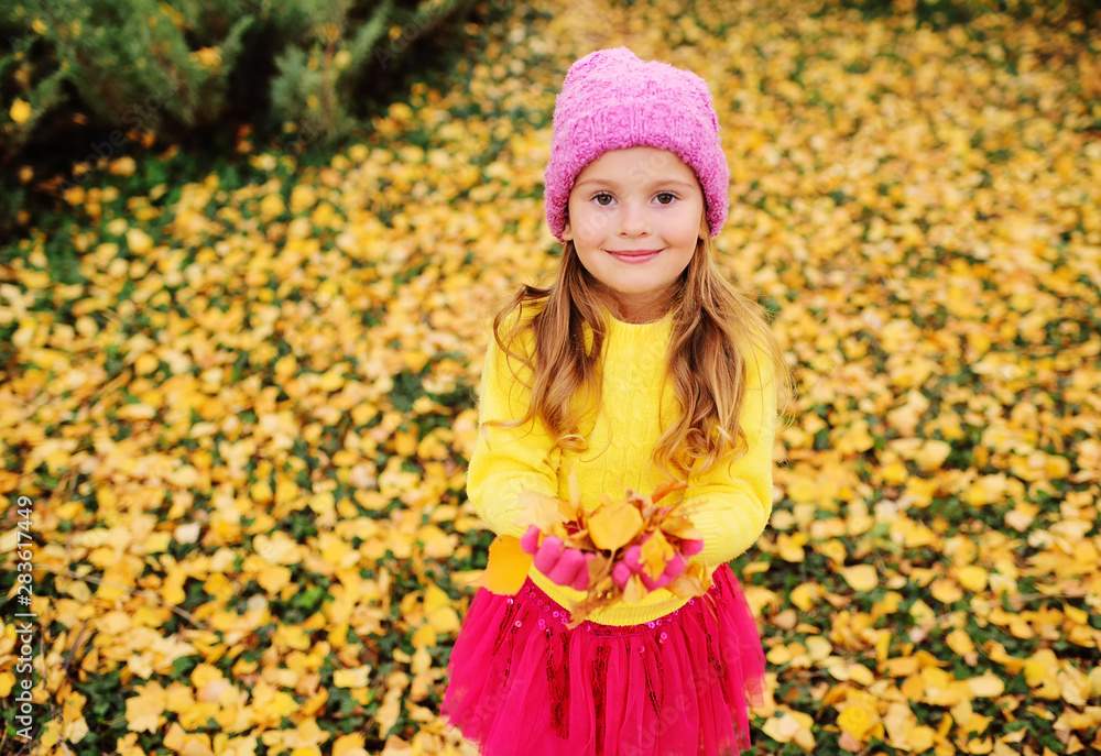 child - a cute little girl in a pink hat and a yellow sweater holding yellow fallen leaves and smiling. autumn concept child - a cute little girl in a pink hat and a yellow sweater holding yellow fallen leaves and smiling. autumn concept