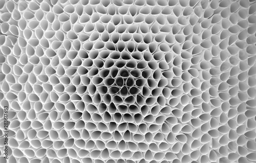 Empty Cigarettes papers tubes top view