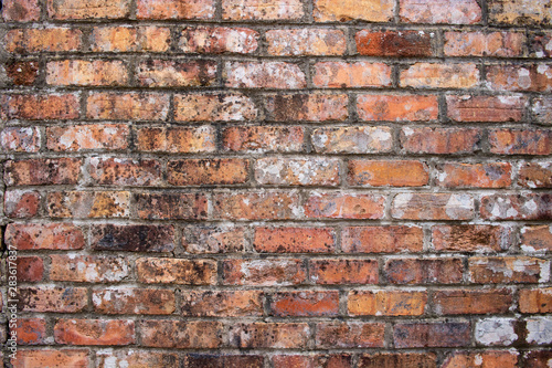 Wide Orange worn grunge brick wall surface background weathered dirty distressed texture © Kyran