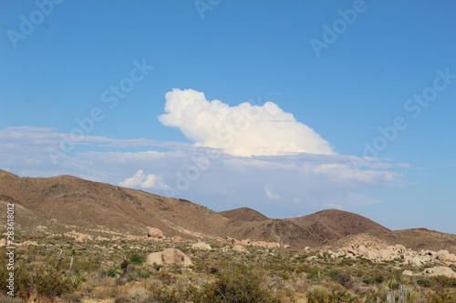 Clouds congregate above  adding beautiful accent to native Southern Mojave Desert ecological habitats in Joshua Tree National Park.