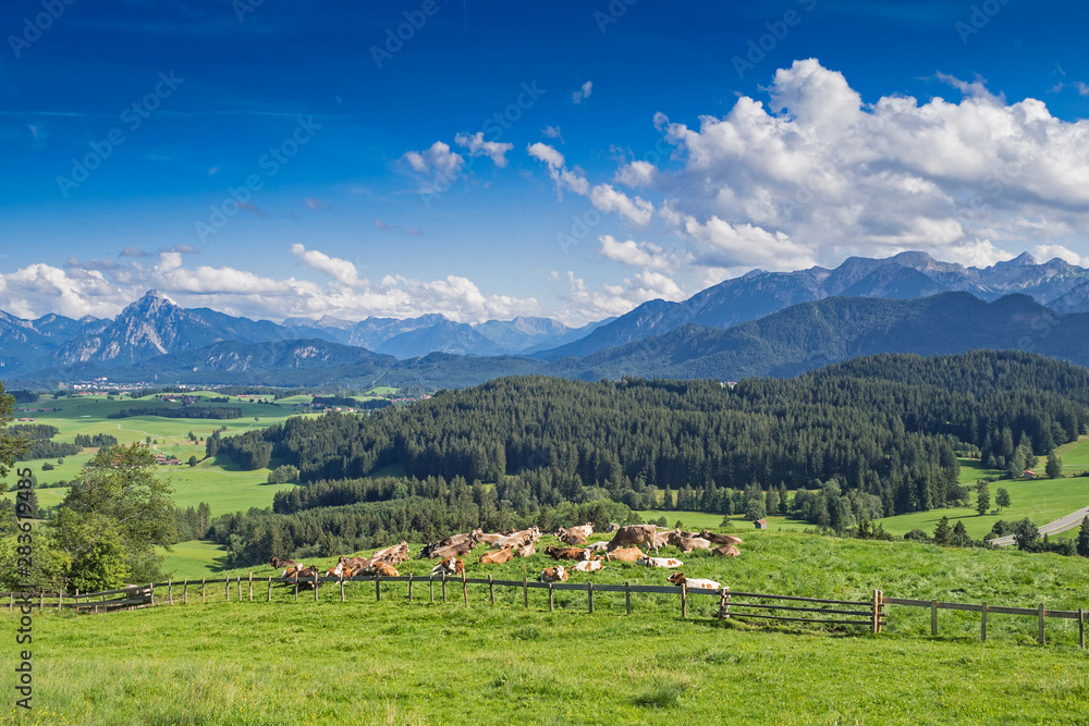 Germany, Bavaria, Allgaeu, Eisenberg, panoramic view to Tegelberg and Säuling mountain