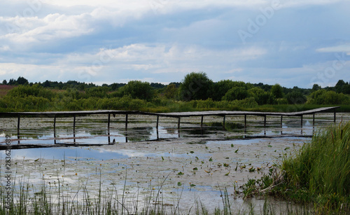 bridge over the river