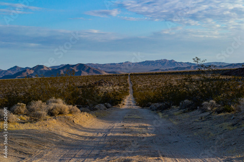 long sandy dirt road disappearing into the vast mojave desert