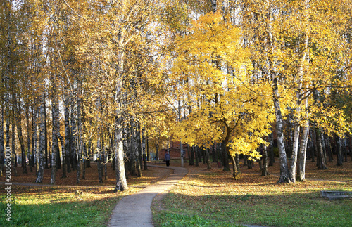 autumn in the park