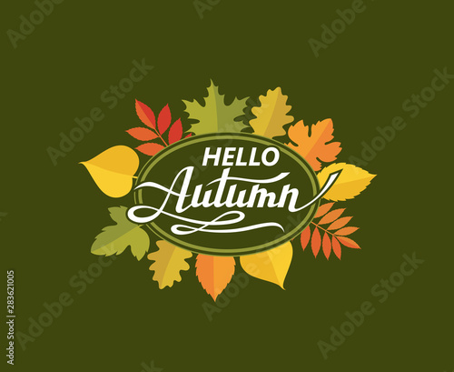 hello autumn lettering pattern with woody leaves