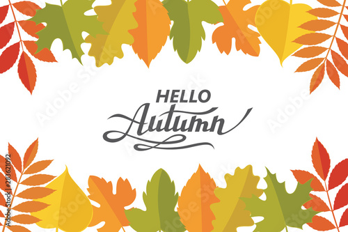 hello autumn lettering pattern with woody leaves