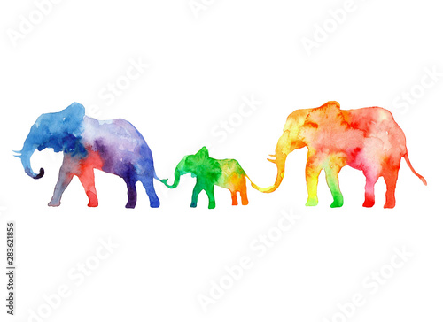 Photography Walk the family of elephants. Colors of rainbow.