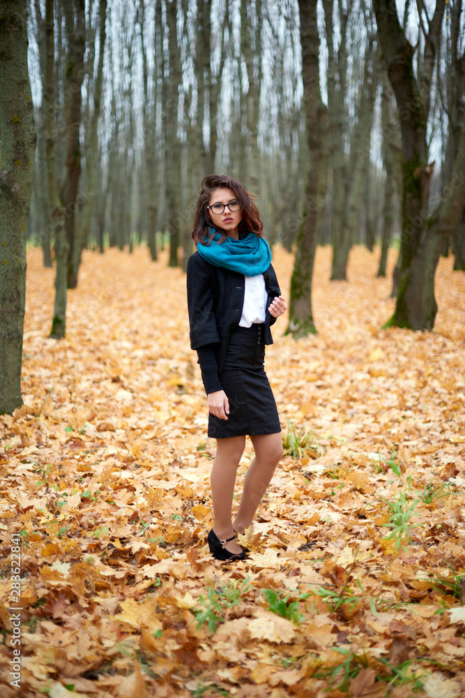 young woman in autumn park young woman in autumn park