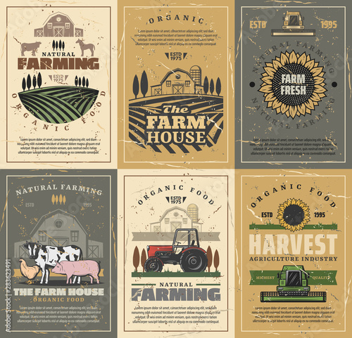 Farm animals, field, tractor and barn. Agriculture