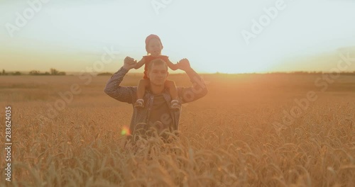Wallpaper Mural Pretty little baby sits on her dad's shoulders, a walk in a wheat field. Happy dad is walking across the field with a little daughter. Torontodigital.ca