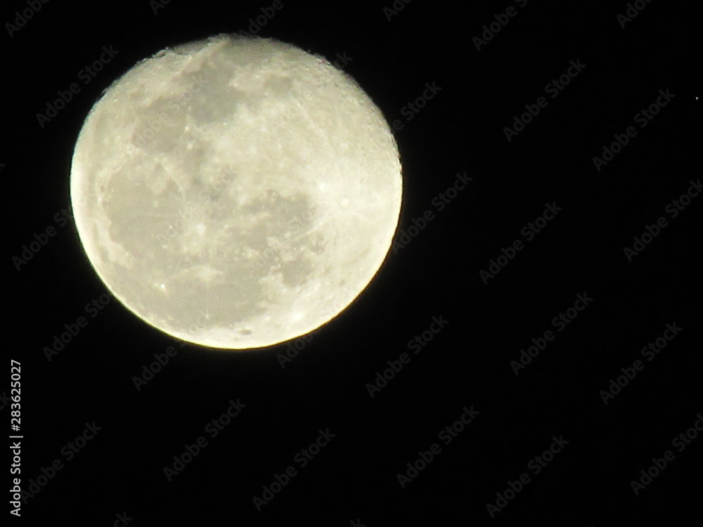 Obraz premium full moon in the sky