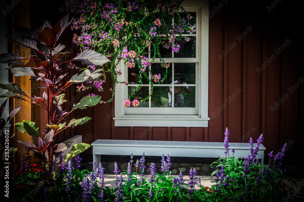 window with flowers and flowers window with flowers and flowers