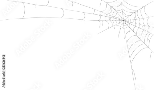 Spider's web frame. vector illustration, spiderweb backgound
