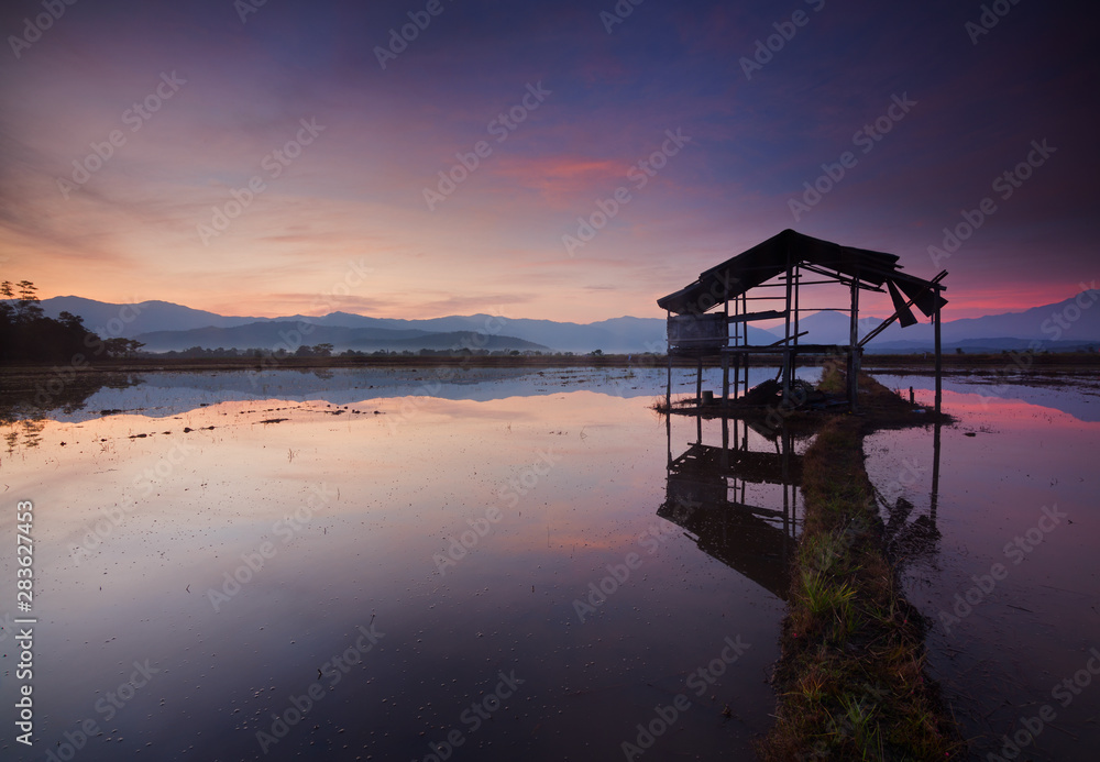 Reflection of beautiful sunrise with Mount Kinabalu in the background taken at Kota Belud, Sabah, East Malaysia.