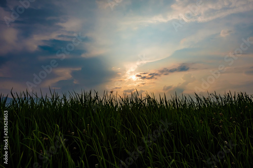 sunset on the hill