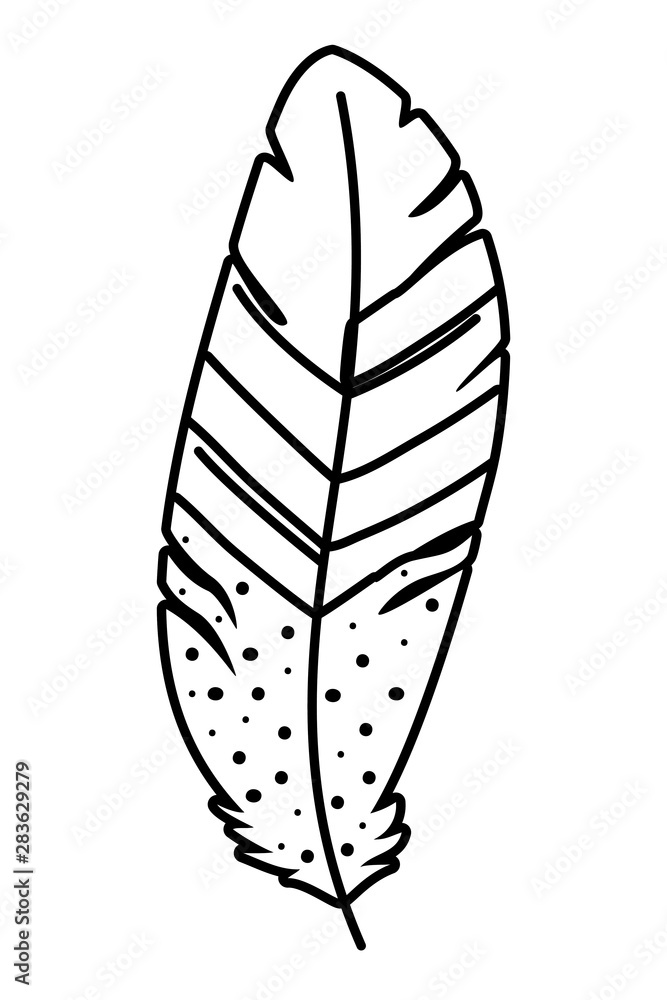 Isolated boho feather design vector illustration Isolated boho feather design vector illustration
