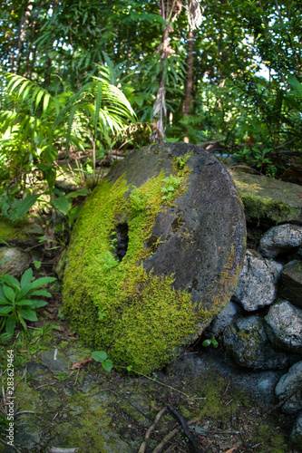 Foto A mossy disk of stoney money, known as Rai, sits in the jungle on the island of Yap in Micronesia