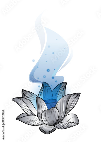 Mágica Flor de Loto