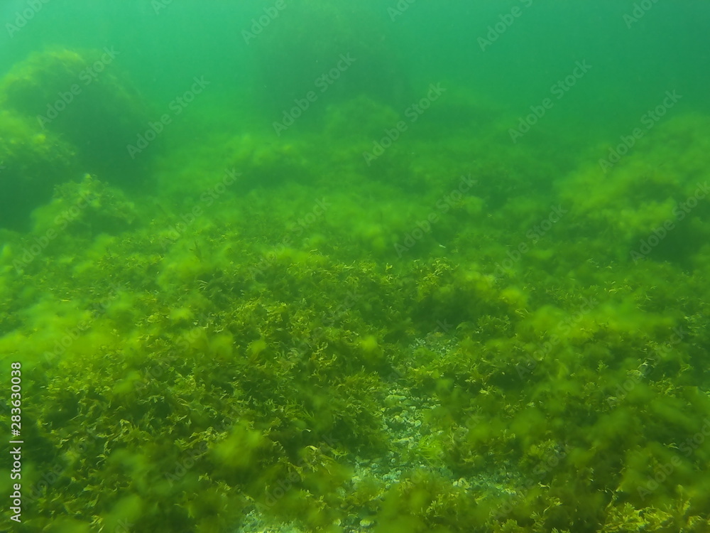Paddy's Head Nova Scotia 2019 Paddy's Head Nova Scotia 2019