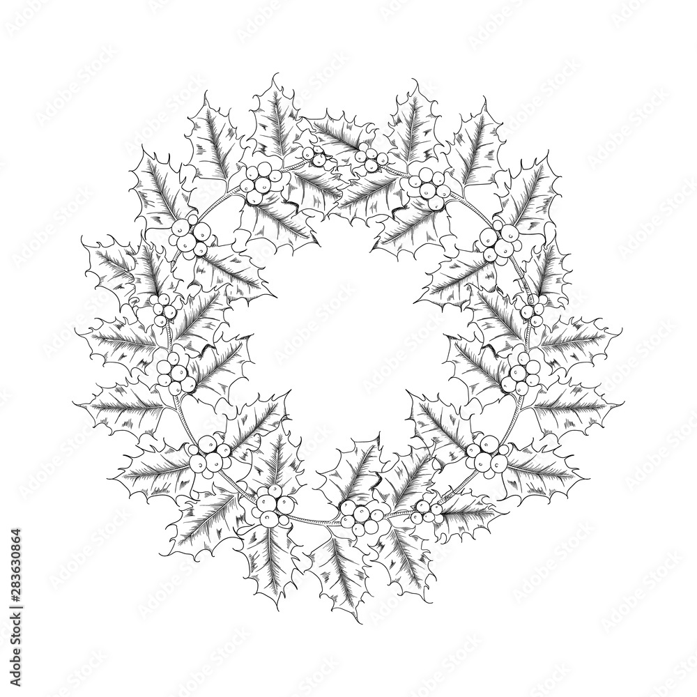 Obraz premium vector hand drawn holly, ilex wreath branch with berry and leaves, mistletoe set.