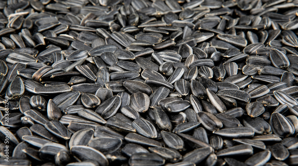 Pile of sunflower seeds. Pile of sunflower seeds.